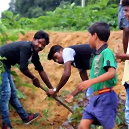 Preparing the ground for saplings