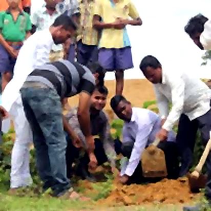 Team effort at the plantation site